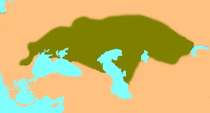 La carte Coumanie