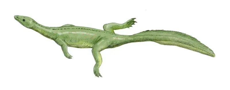 The Thalattosauria card
