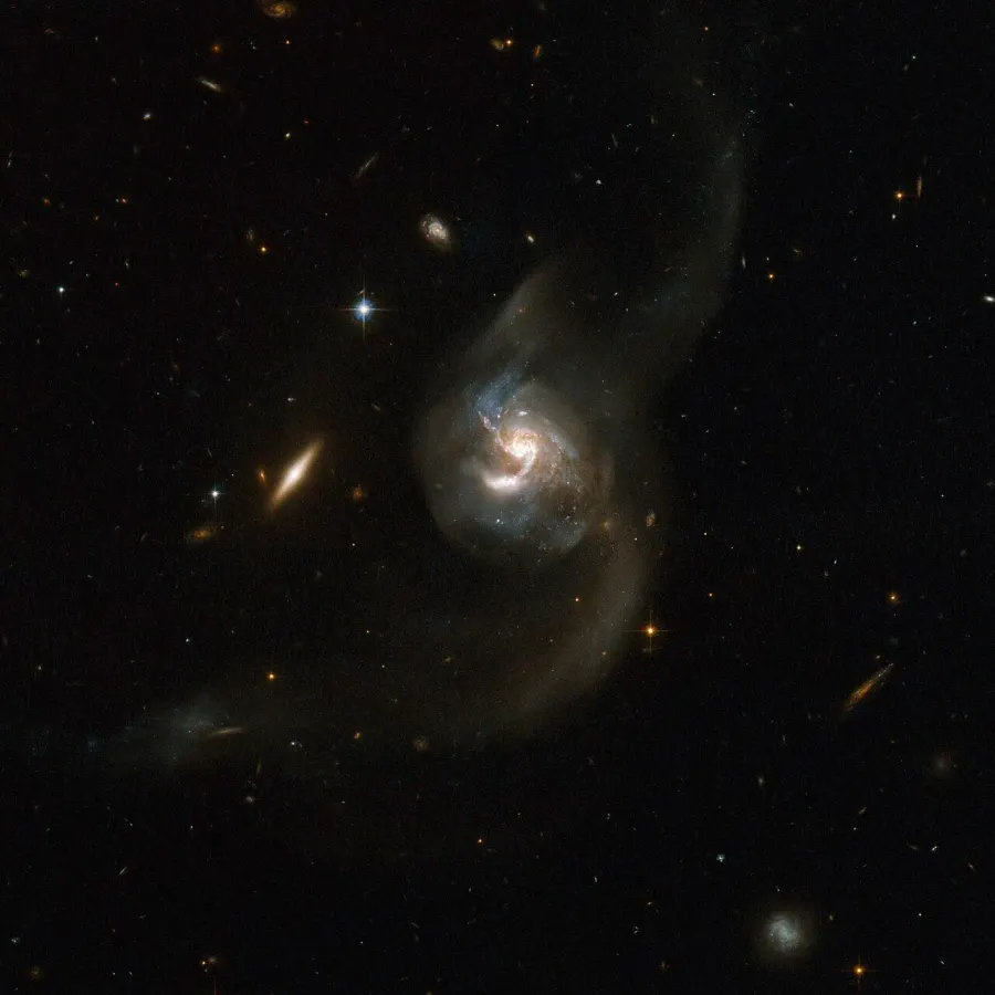 La carte NGC 6090