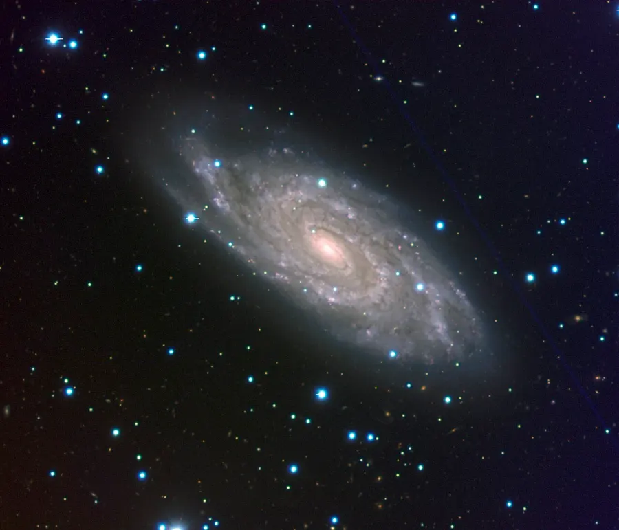 The NGC 6118 card