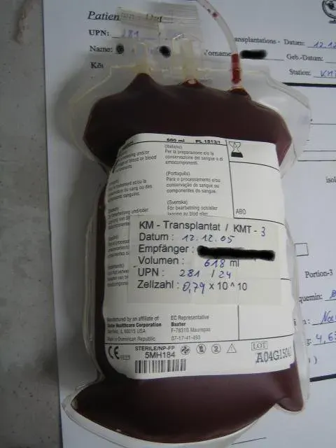 La carte Transplantation de moelle osseuse