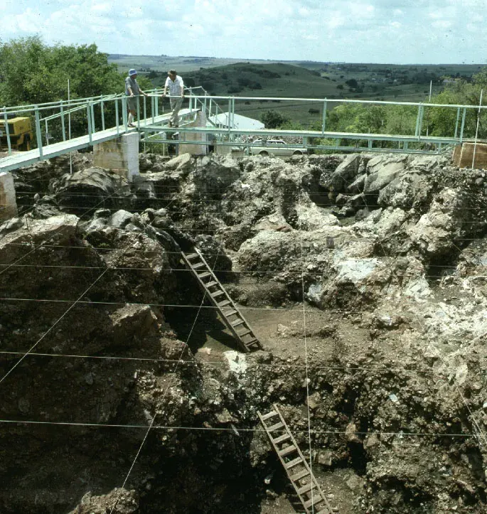 The Cradle of Humankind card