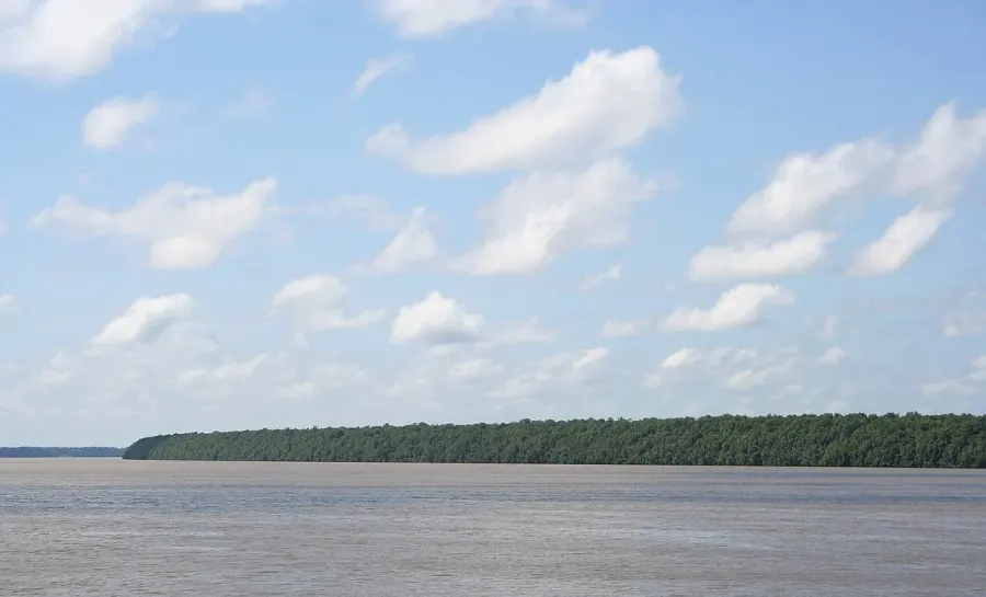 The Coppename River card