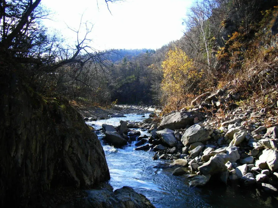 The Toyohira River card