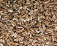 The Farro card