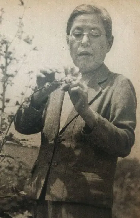 La carte Kono Yasui