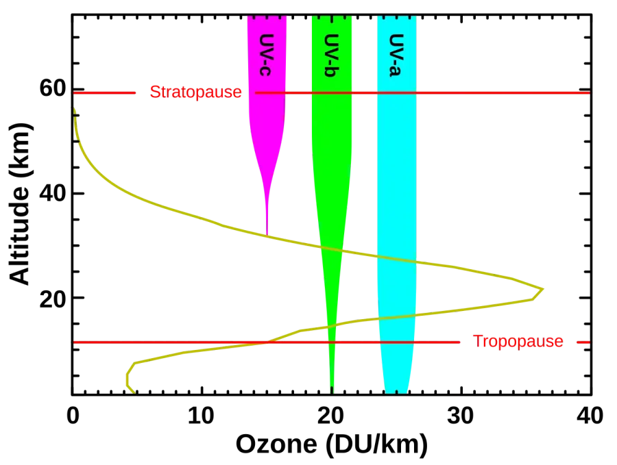 The Ultraviolet card