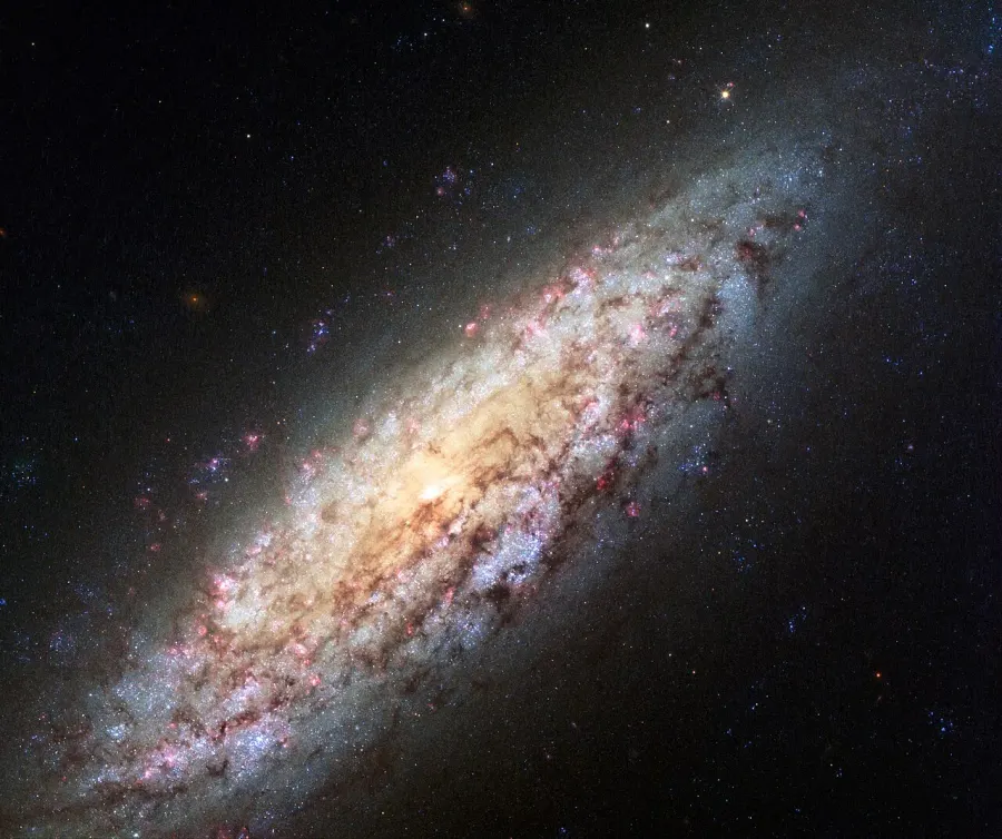 La carte NGC 6503