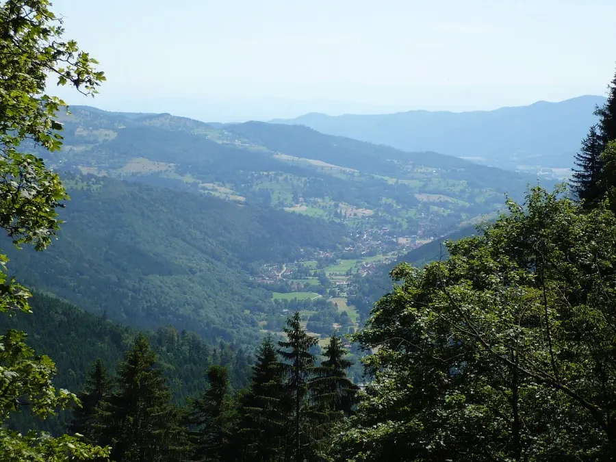 The Alsace card