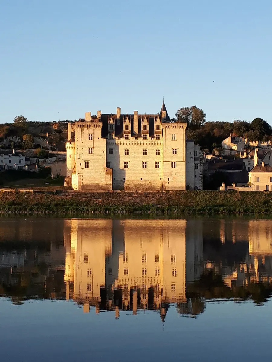 The Château de Montsoreau card
