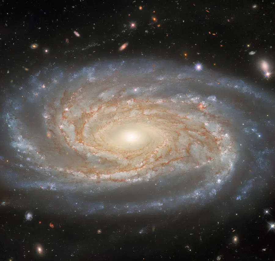 La carte NGC 7038