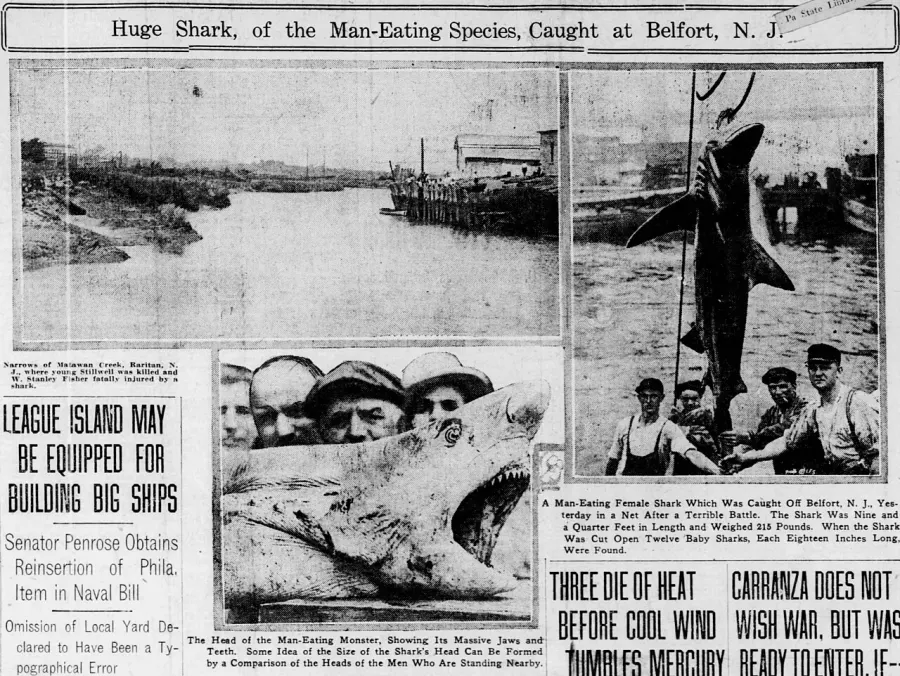 The Jersey Shore shark attacks of 1916 card