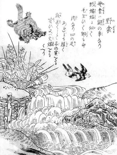 The Nobusuma card