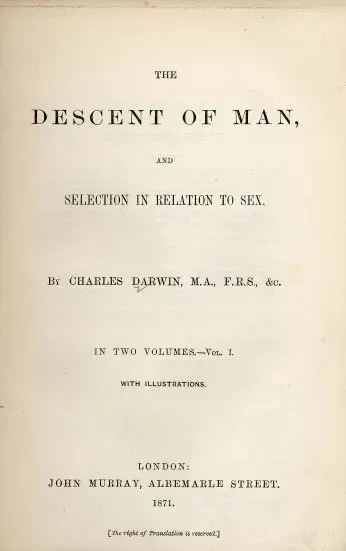La carte La Filiation de l'homme et la sélection liée au sexe