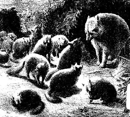 La carte Inugami Gyōbu