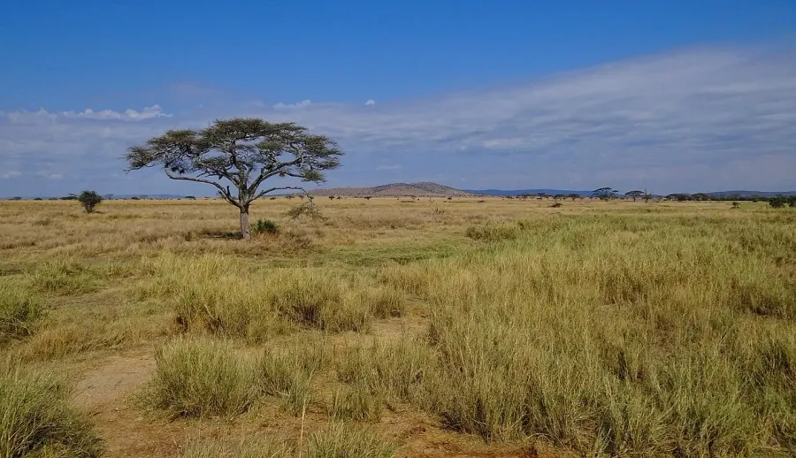 La carte Parc national du Serengeti