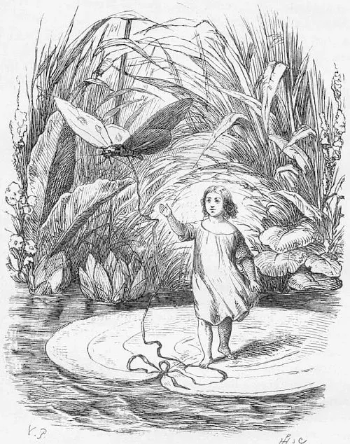 The Thumbelina card