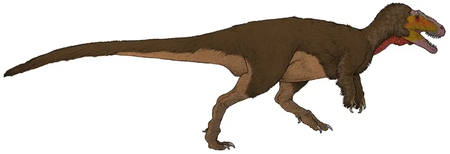 La carte Sinotyrannus
