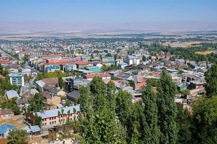 The Muş card