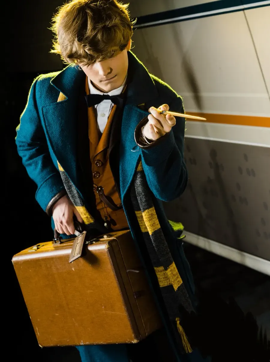 The Newt Scamander card