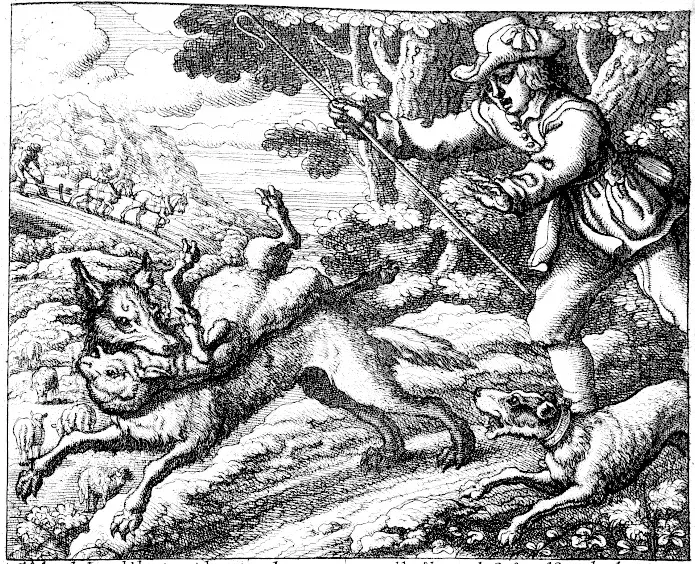 La carte L'Enfant qui criait au loup