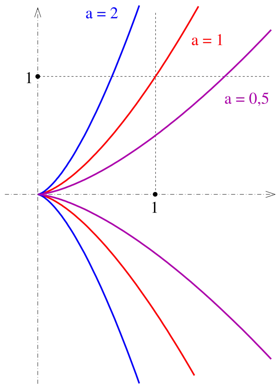 The Semicubical parabola card