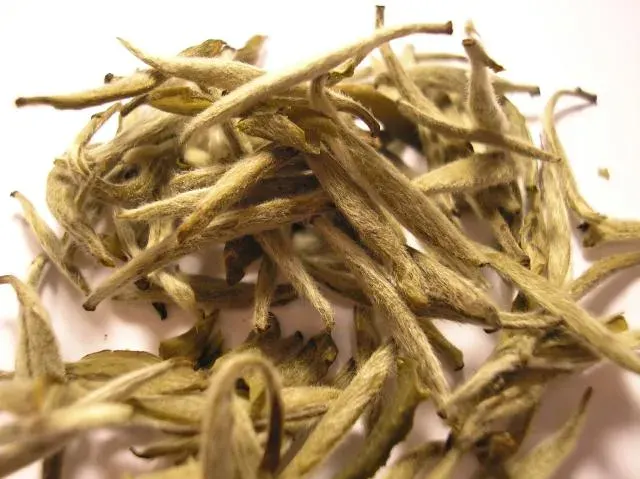 The Baihao Yinzhen card