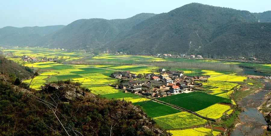 The Nanzhang County card
