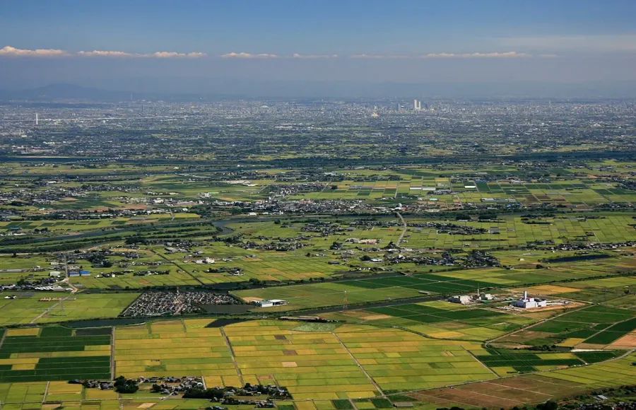 The Nōbi Plain card
