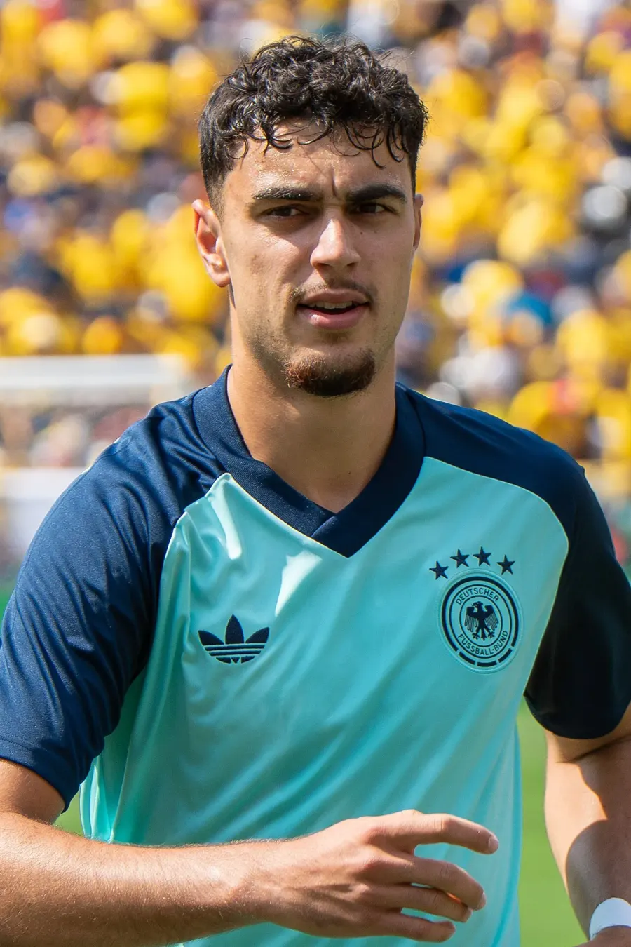 The Aleksandar Pavlović card