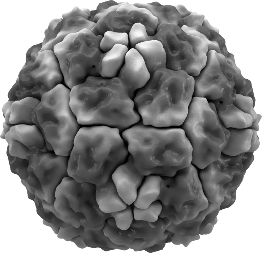 The Common cold card