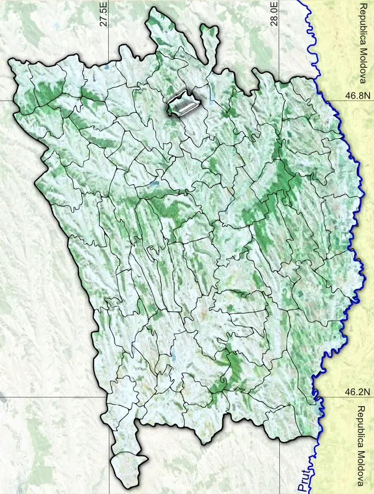 The Ferești card