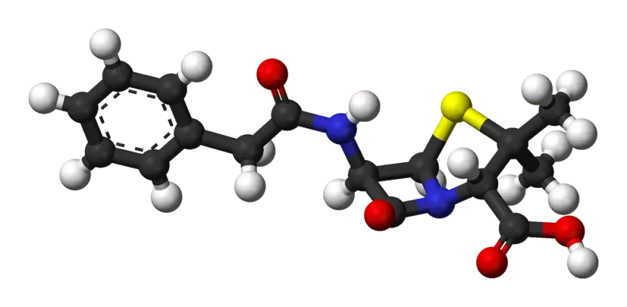 The Penicillin card