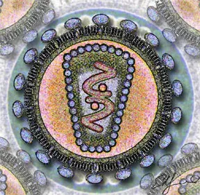 The HIV/AIDS card