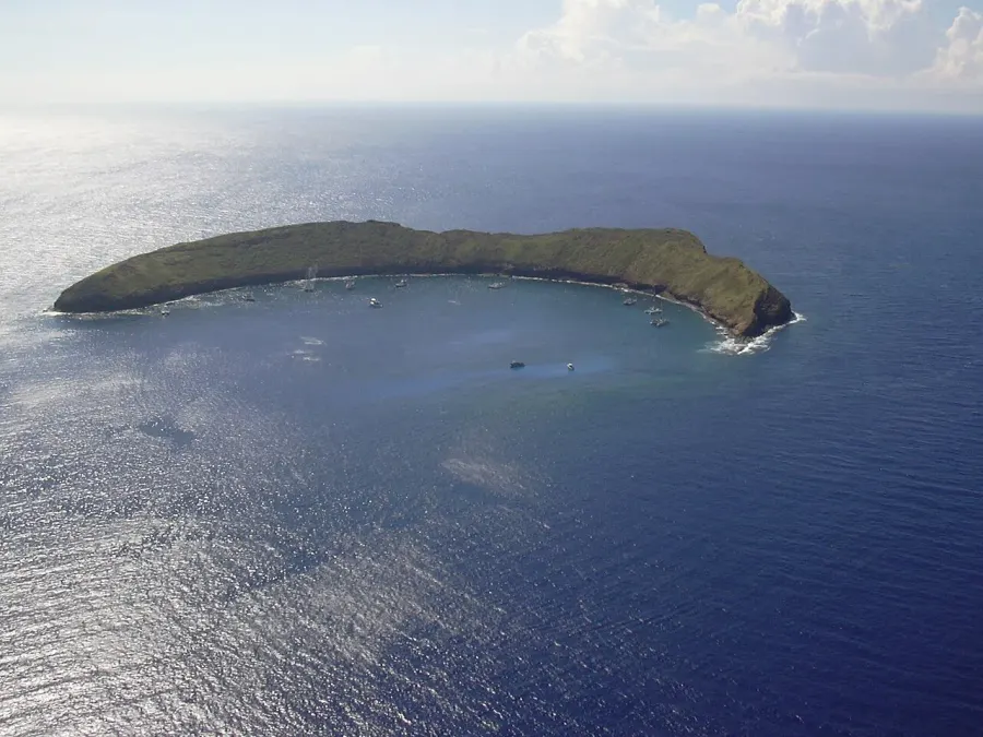 The Molokini card