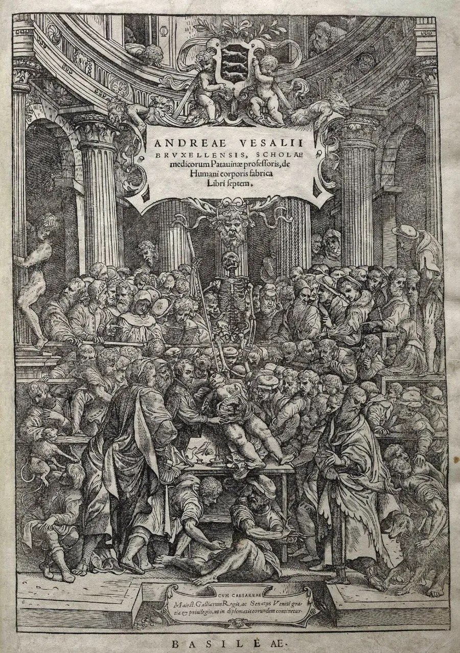 La carte De humani corporis fabrica