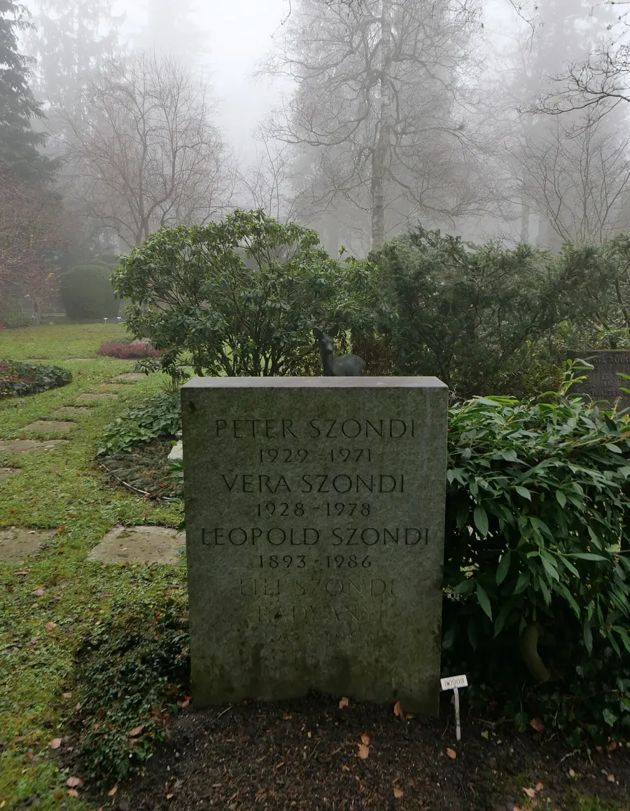 The Léopold Szondi card