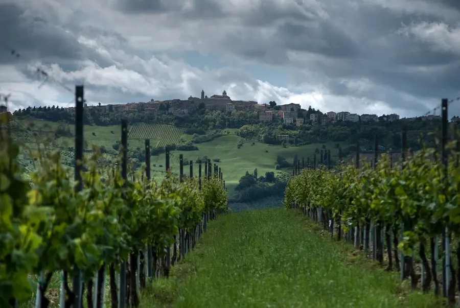 La carte Cupramontana