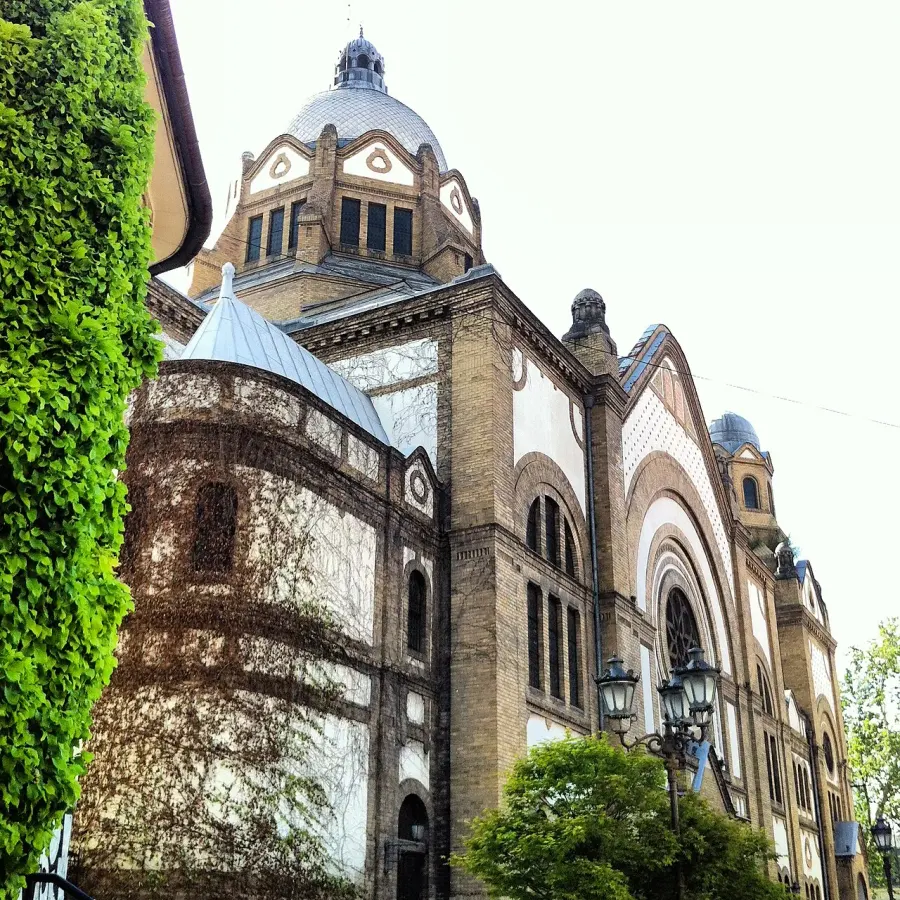 The Novi Sad Synagogue card