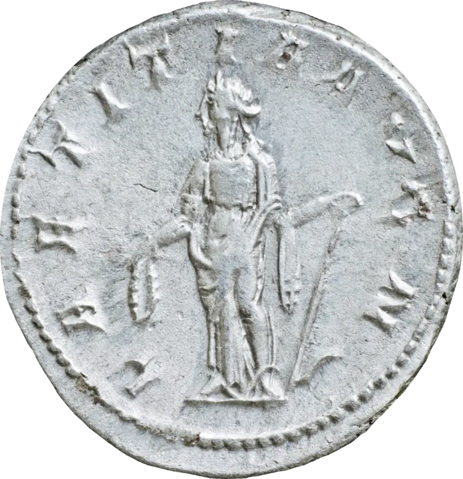 La carte Laetitia