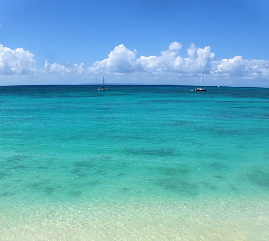 The Caribbean Sea card