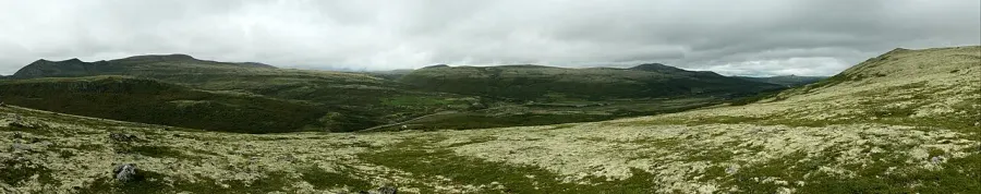 The Dovre National Park card