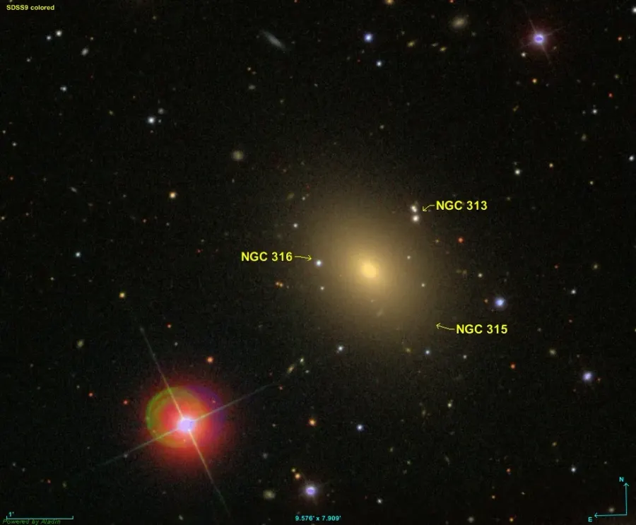 The NGC 316 card