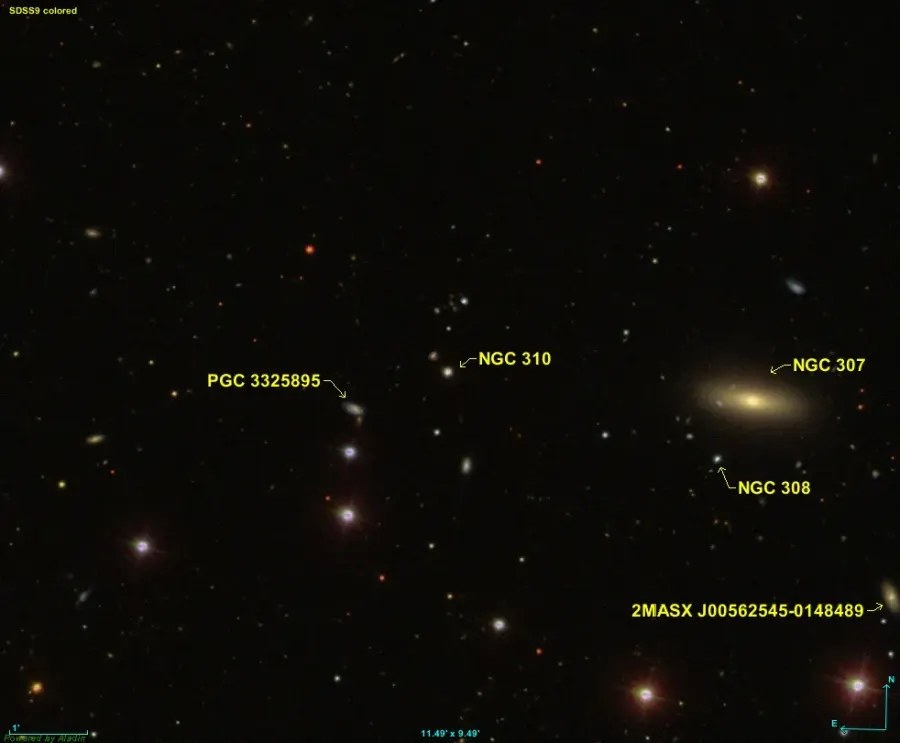 La carte NGC 310
