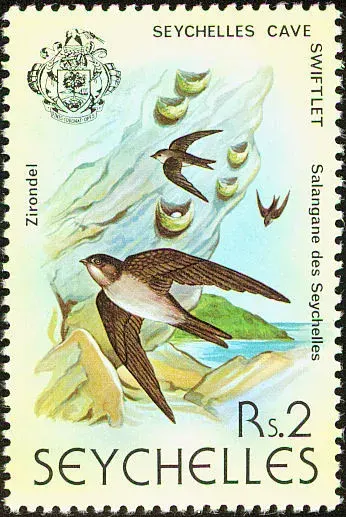 La carte Salangane des Seychelles