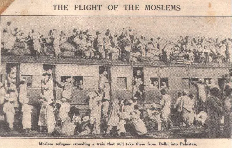 The Muhajir card