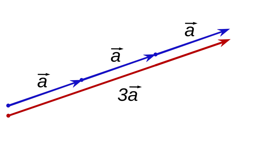 The Scalar multiplication card