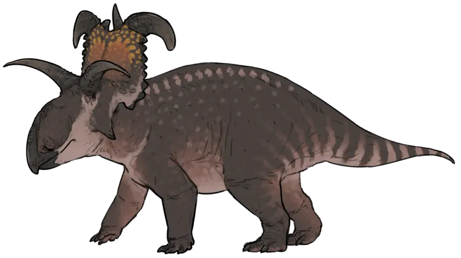 La carte Lokiceratops