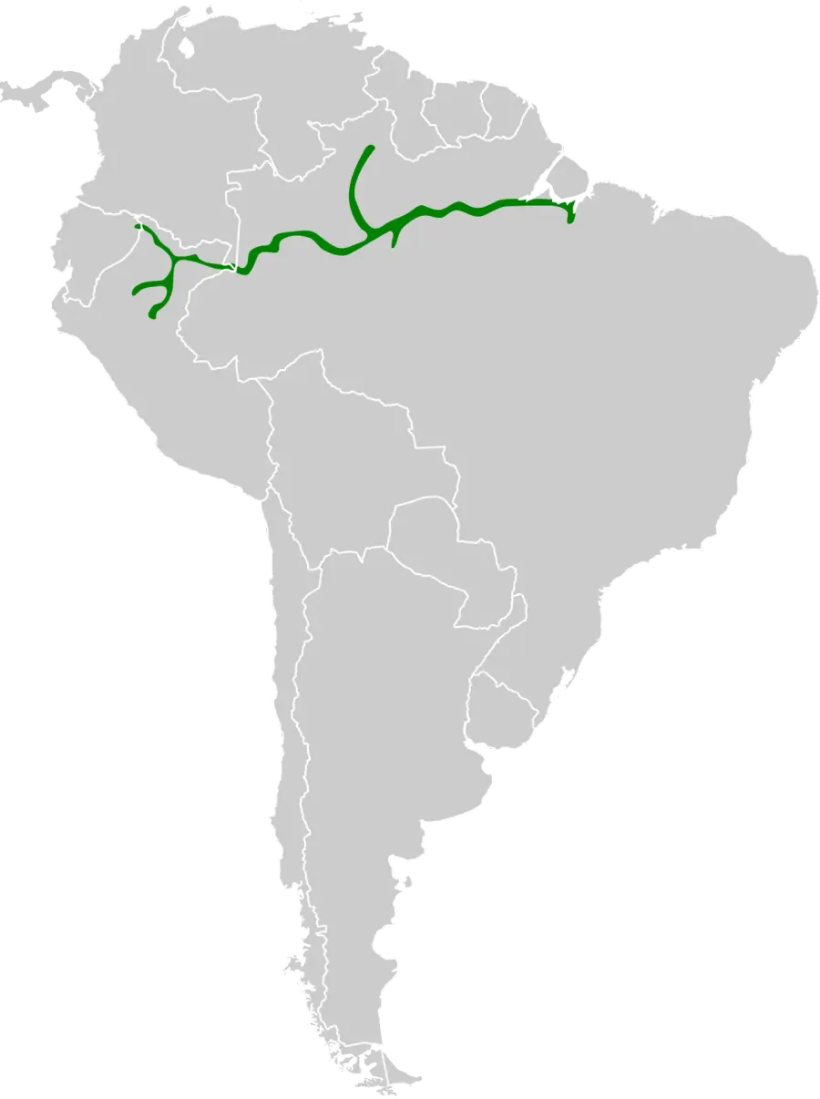 La carte Alapi lugubre