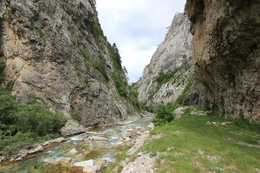 The Sutjeska card